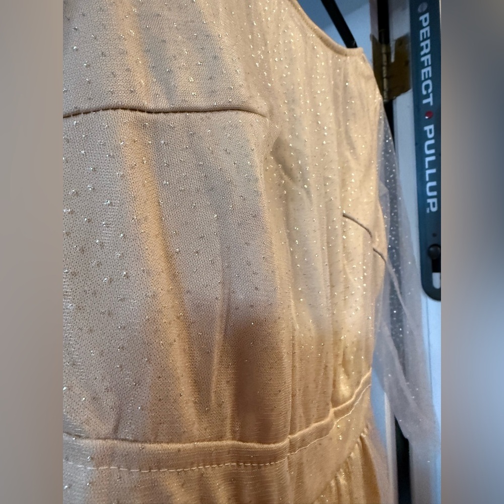 Elegant Cream Sheer Sleeve Dress with Sparkles, Open Back! New!! - Picture 8 of 14